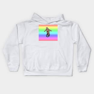 Unicycle Sloth Rainbow Ombre Kids Hoodie